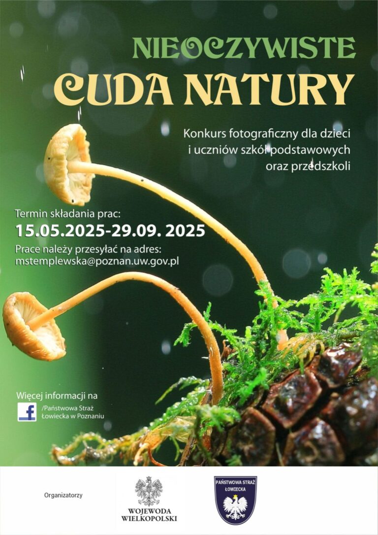 Konkurs fotograficzny